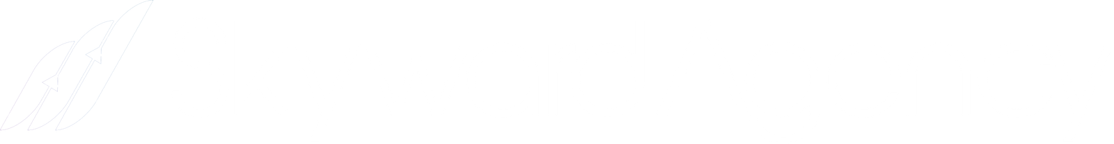 Skyward Agency