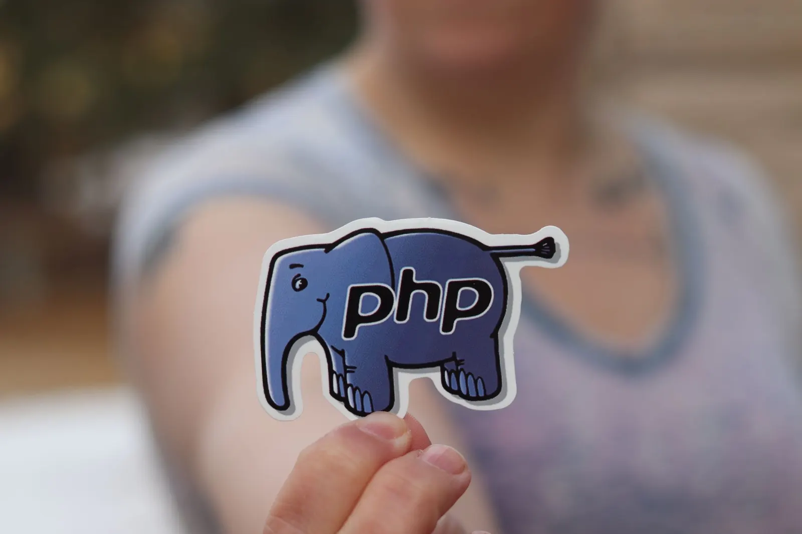 Interface d'un panneau de contrôle d'hébergement affichant la version de PHP, avec un curseur de souris sur le bouton de mise