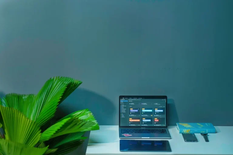 Bureau moderne avec ordinateur portable, plante tropicale et livre.
